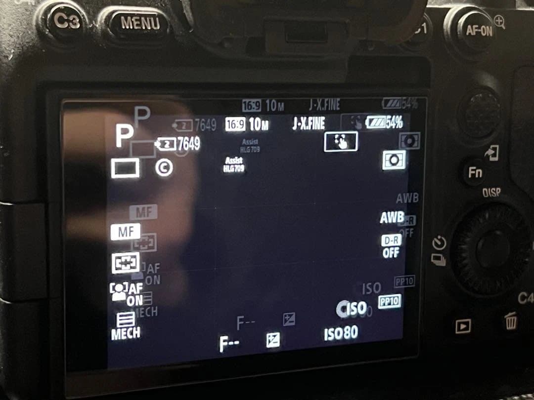 SONY α7Sⅲ ILCE-7SM3 撮影回数637枚 アクセサリー付き