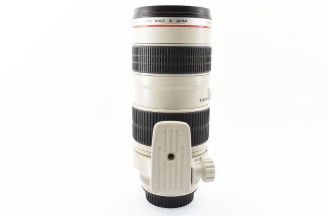 Canon EF 70-200mm f/2.8 ナナニッパ