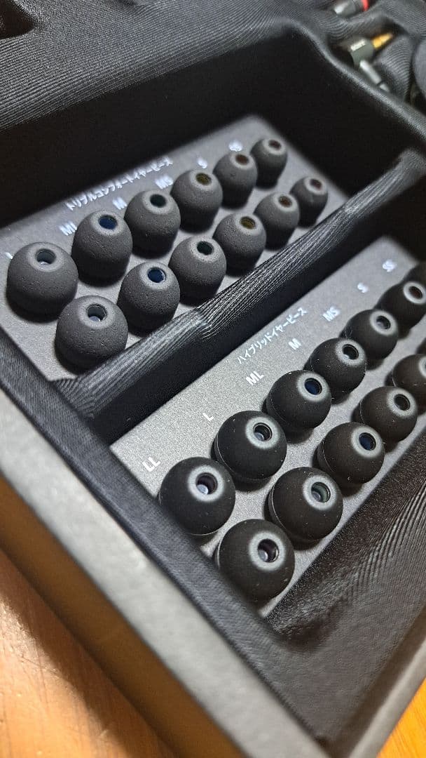 ソニー SONY イヤホン IER-M9