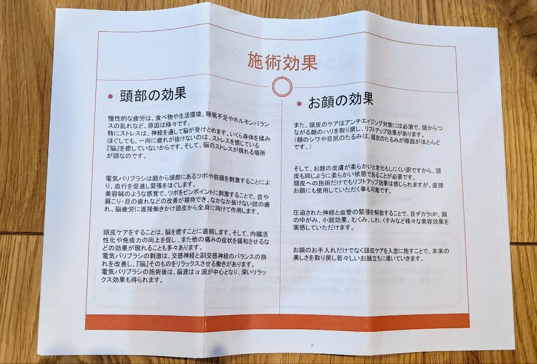 ELECTRON エレクトロン デンキバリブラシ