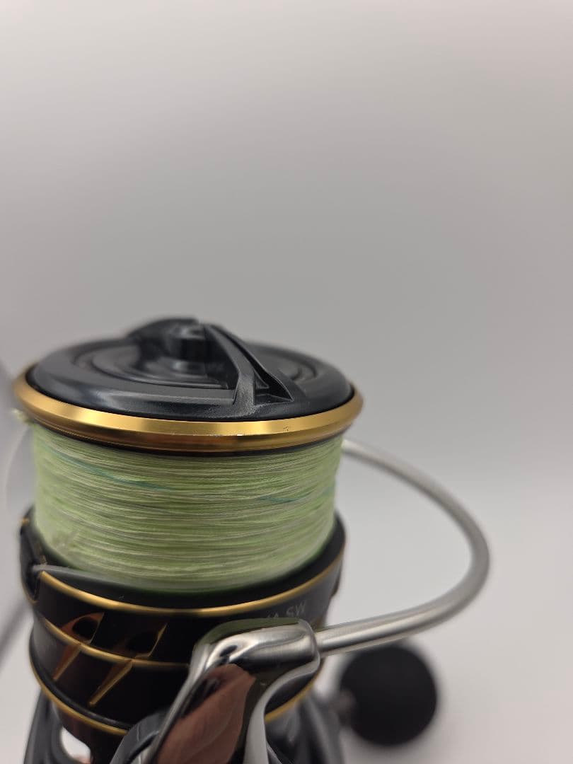 リール DAIWA CALDIA SW 4000D-CXH