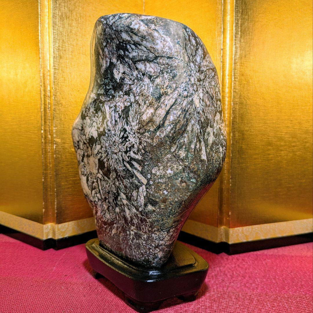 菊花石 縦横型 岐阜県根尾谷産4.8㌔ 鑑賞石 観賞石 水石 盆石 天然石 置物