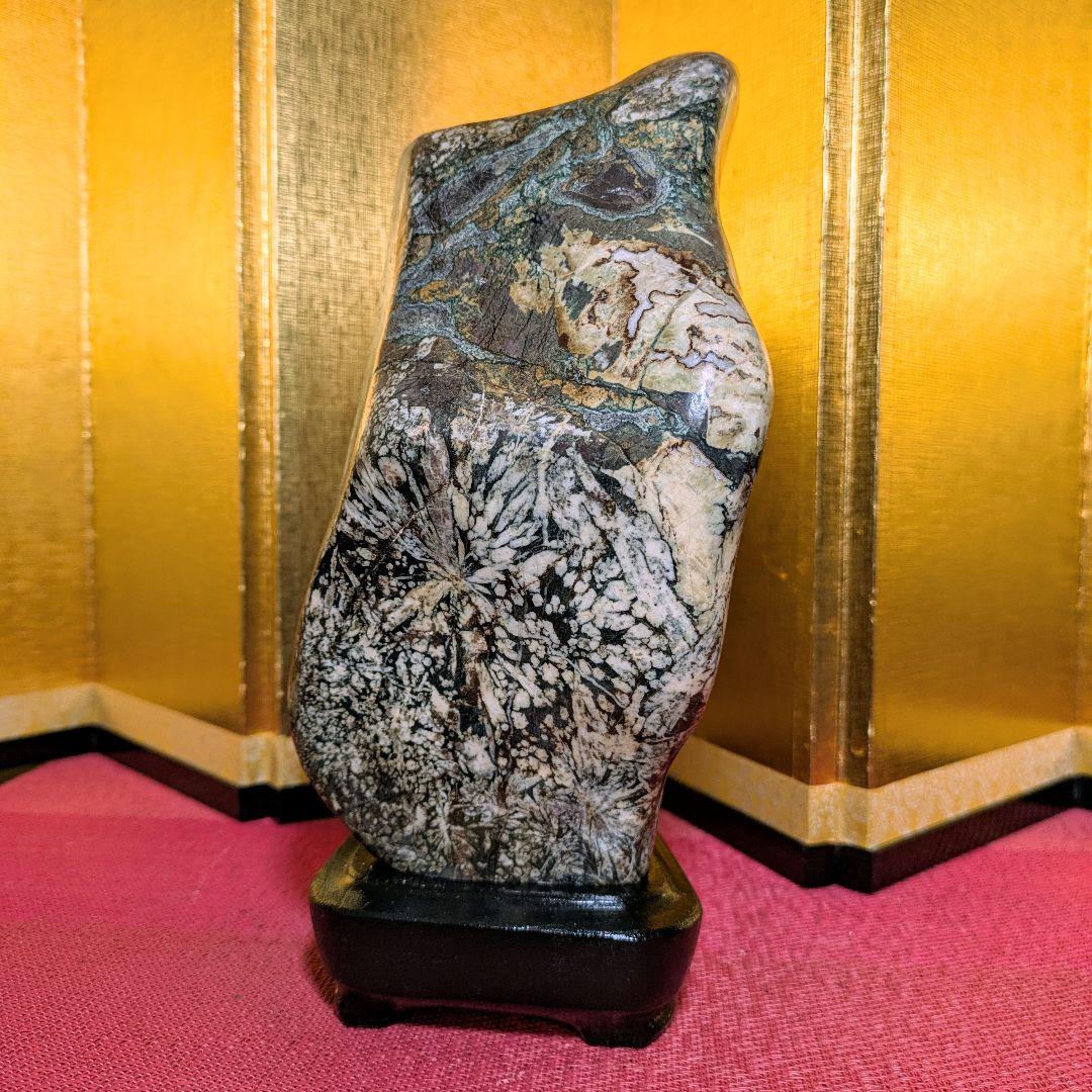 菊花石 縦横型 岐阜県根尾谷産4.8㌔ 鑑賞石 観賞石 水石 盆石 天然石 置物