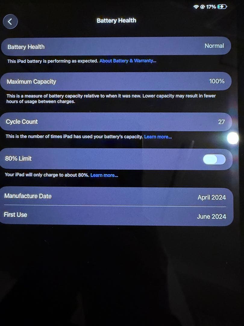 Apple iPad Pro 13シルバー M4 1TB apple care付