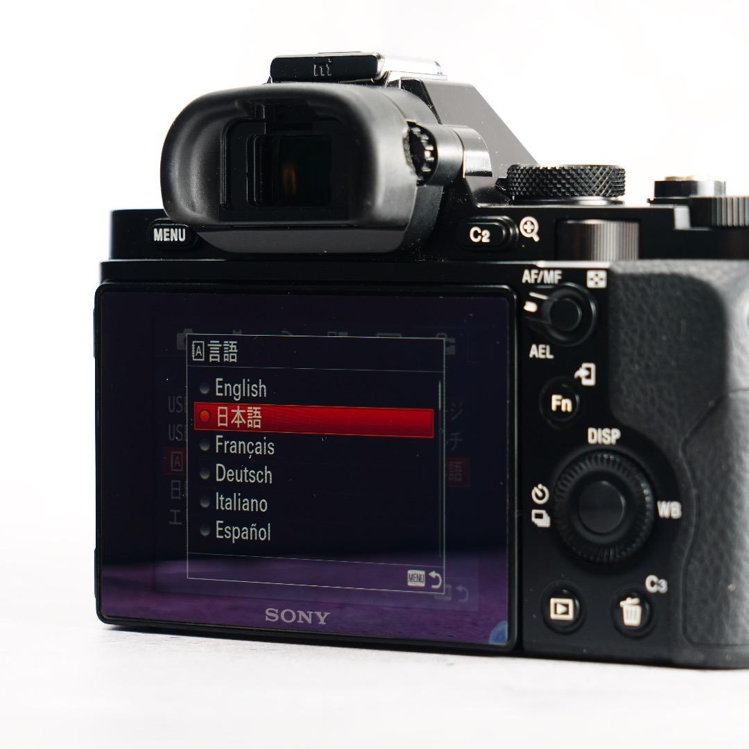 闇を光に変える魔法のカメラ★α7S★13,296回 SONY ILCE-7S