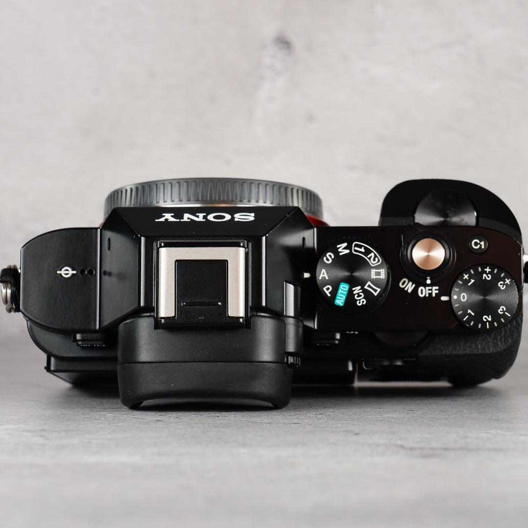 闇を光に変える魔法のカメラ★α7S★13,296回 SONY ILCE-7S