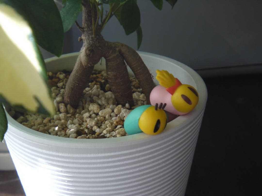 【写ルンです感覚のコンデジ】LUMIX DMC-GF2 32mm スマホ転送OK