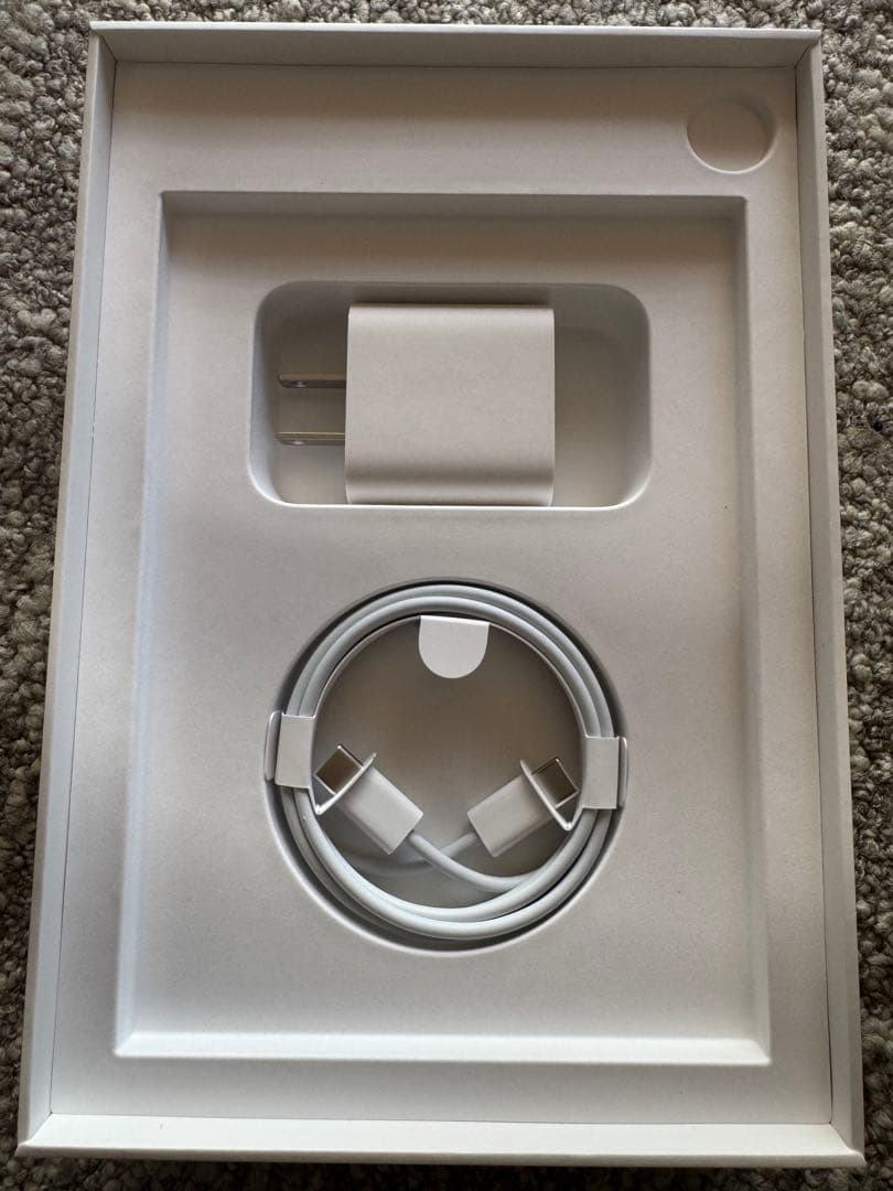 iPad本体 Apple iPad Mini 6 256GB Wi-Fi