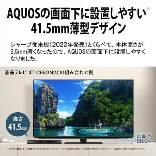 シャープ ブルーレイディスクレコーダー 2B-C10GW1 AQUOS ブルー*
