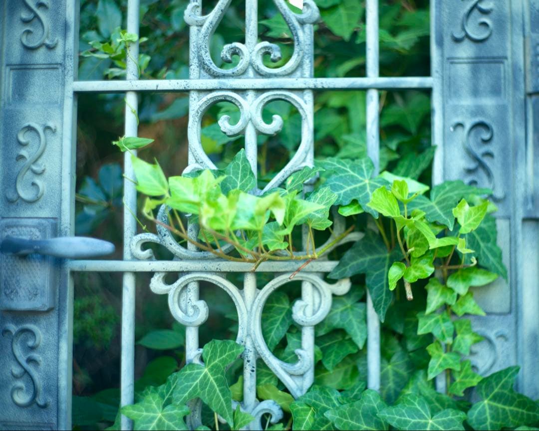 銘レンズFujinon 45mm Fujinon1.8 和製ズミクロン