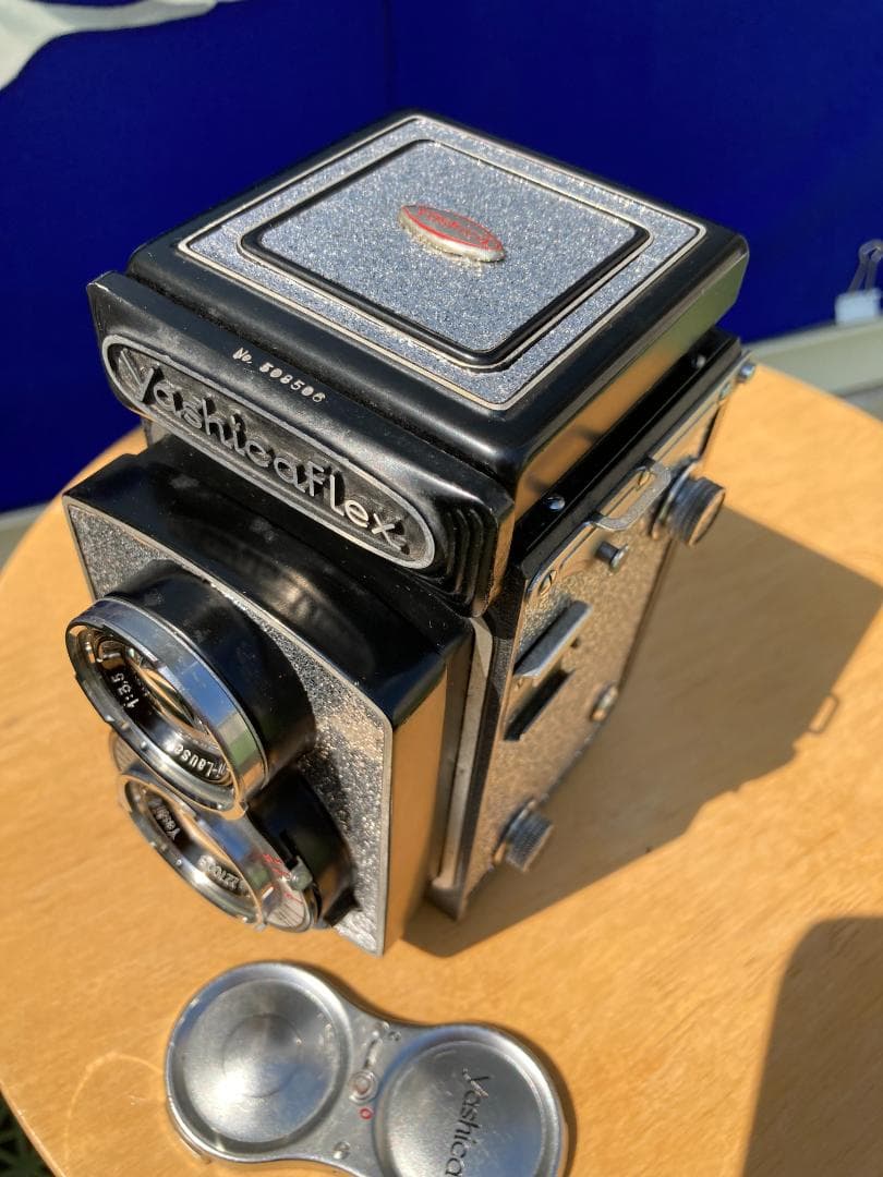 爽やかな風に乗って　キラキラ感２ＵＰ　YASHICA FLEX インテリアにも