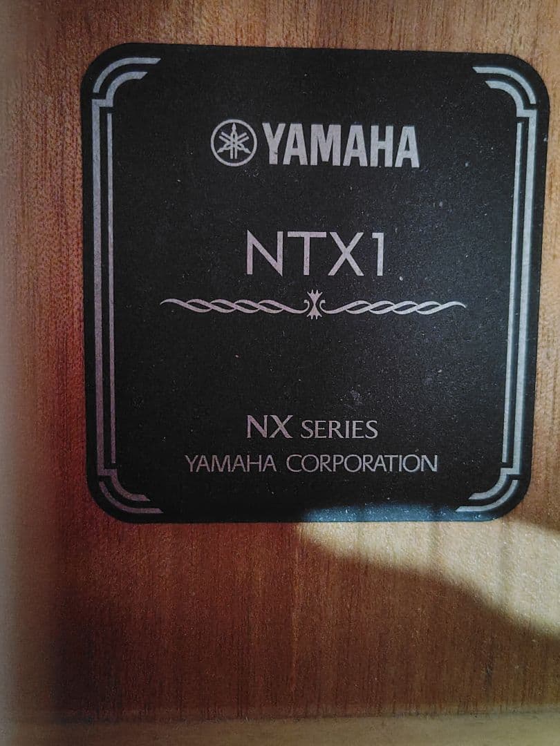 YAMAHA NTX1 エレガットギター セミハードケース付