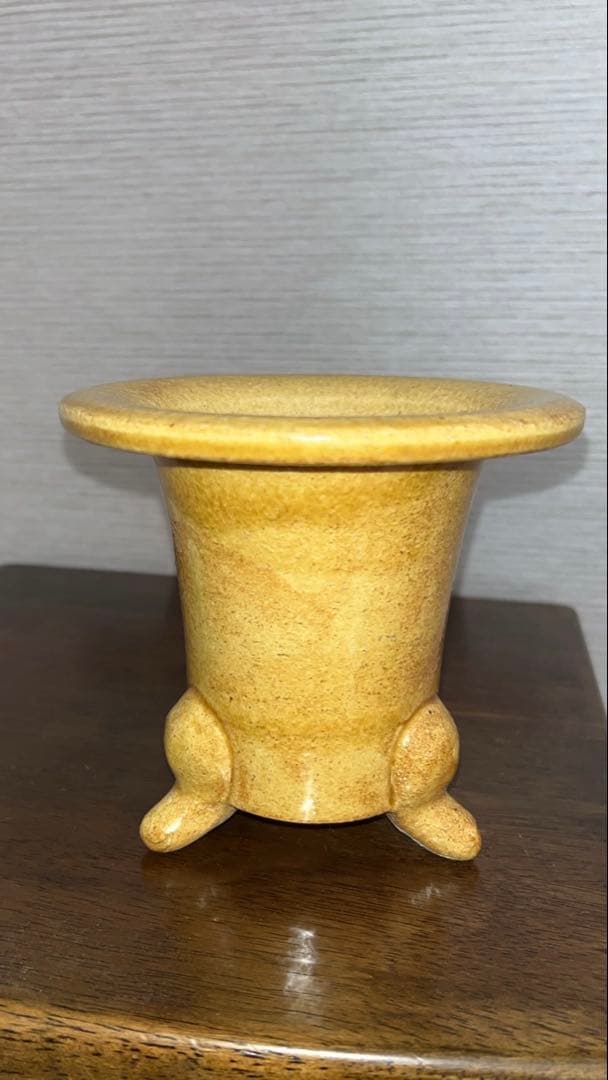 陶器 万年青