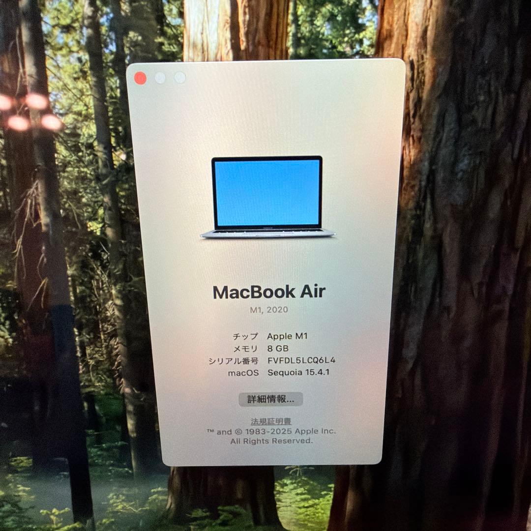 Apple MacBook Air (M1, 2020) 13インチモデル