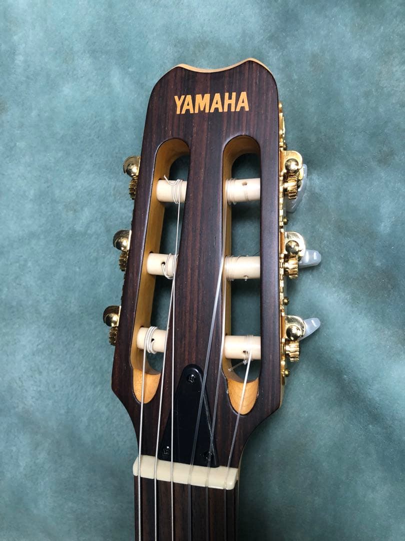 M*9様 ヤマハ　AEX500N エレガット