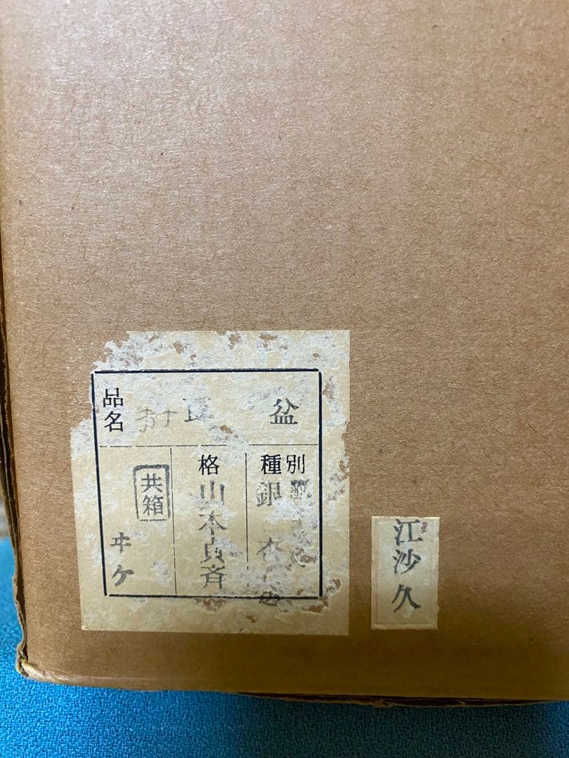 【本日限定】茶道具/莨盆 山本貞斎 鵬雲斎好 銀杏透 手付煙草盆 煙菅2本付