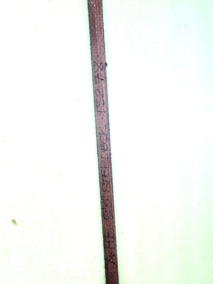 joel tudor ジョエル・チューダー ロングボード