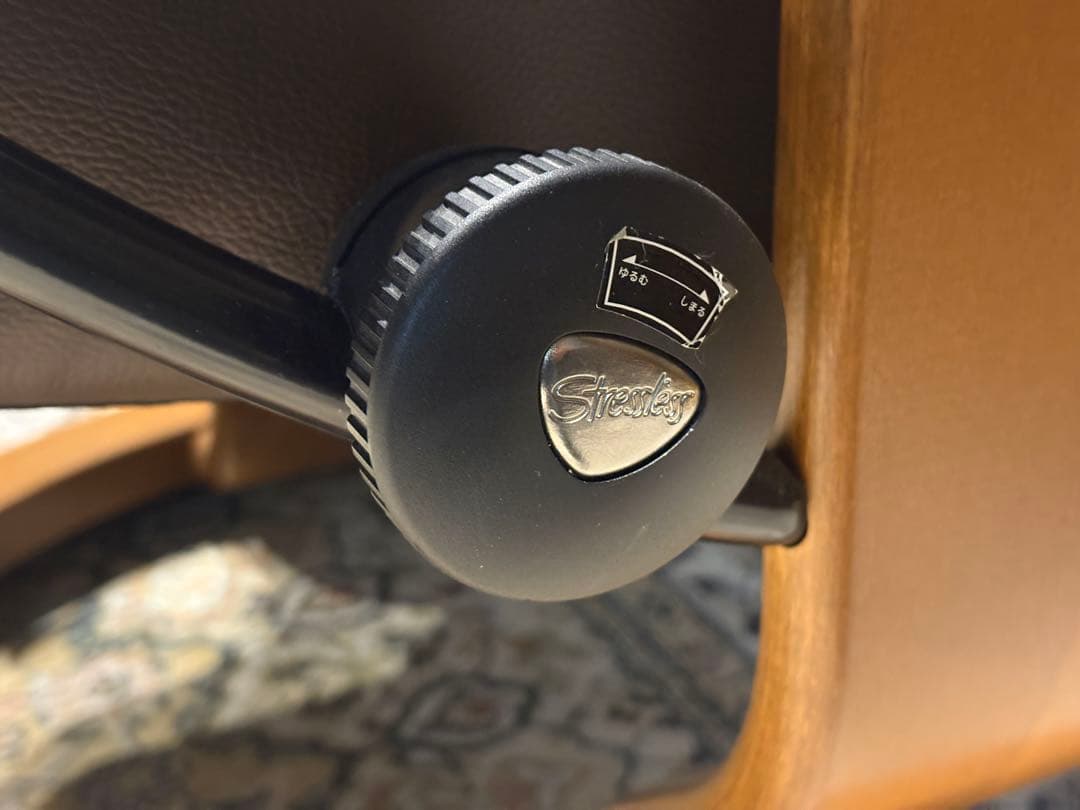 ②エコーネス パーソナルソファ オットマン ストレスレスチェア　IZZ