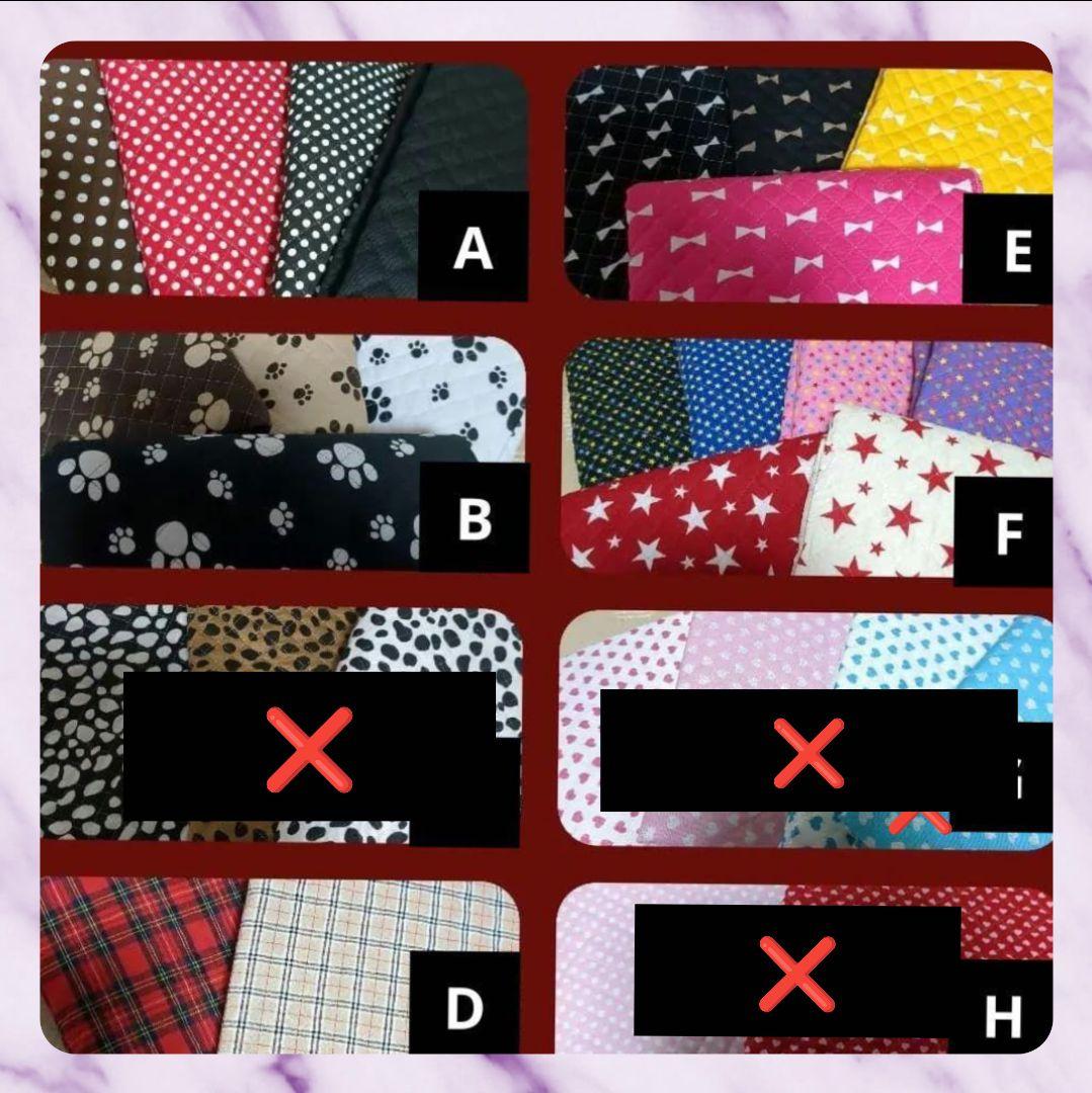 ちゃこ　柴犬4輪　リハビリ　食事補助　犬用車椅子　介護　犬の歩行器