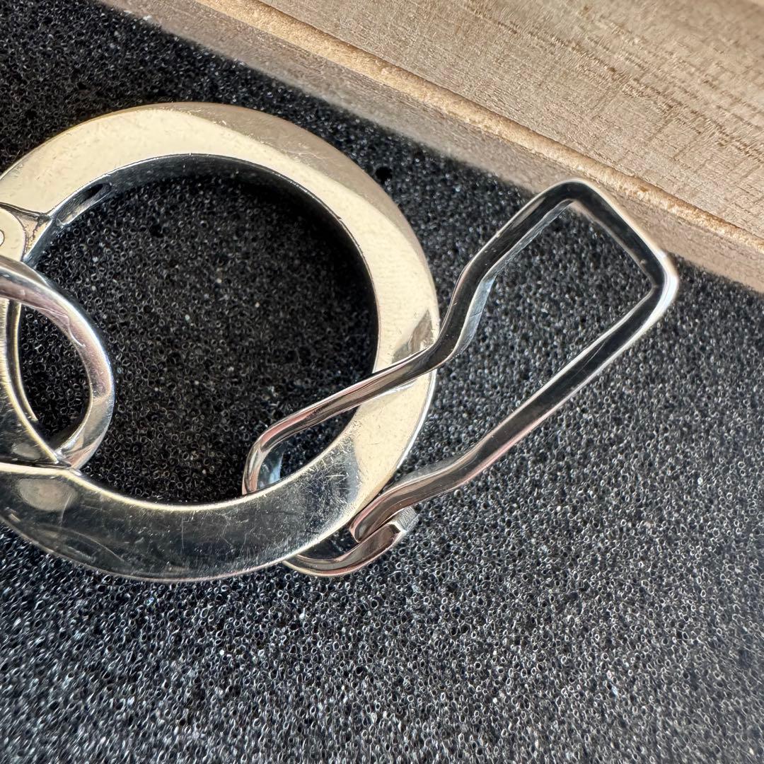 ワイルドスワンズ　キーリング　フルセット　美品