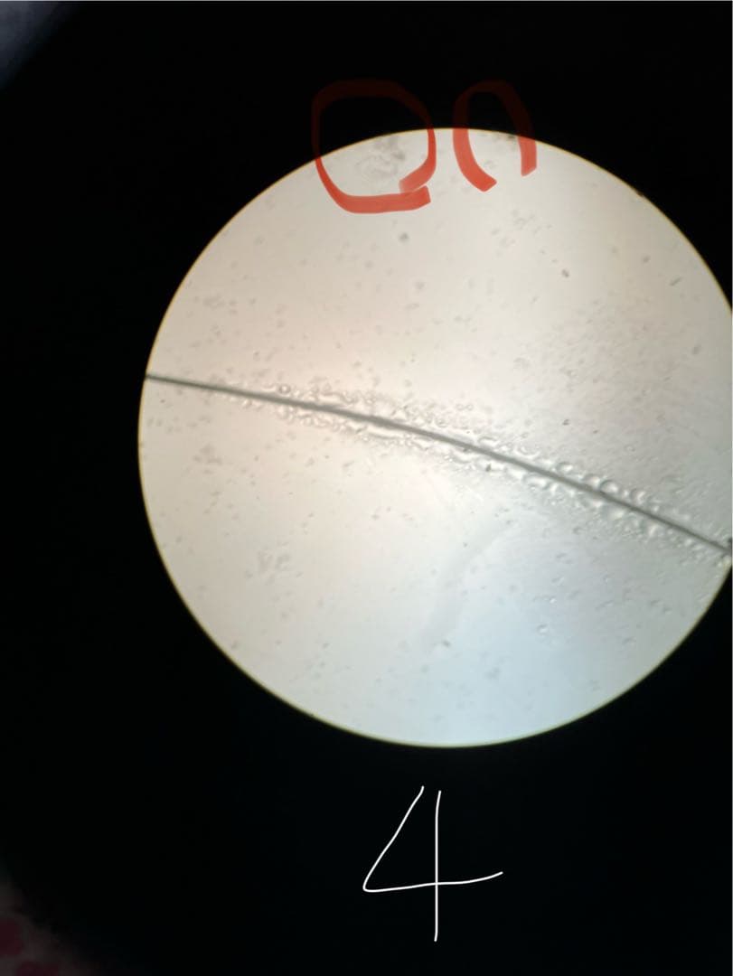 Nikon ニコン　単眼正立明視野顕微鏡　ハードケース+使用説明書付き