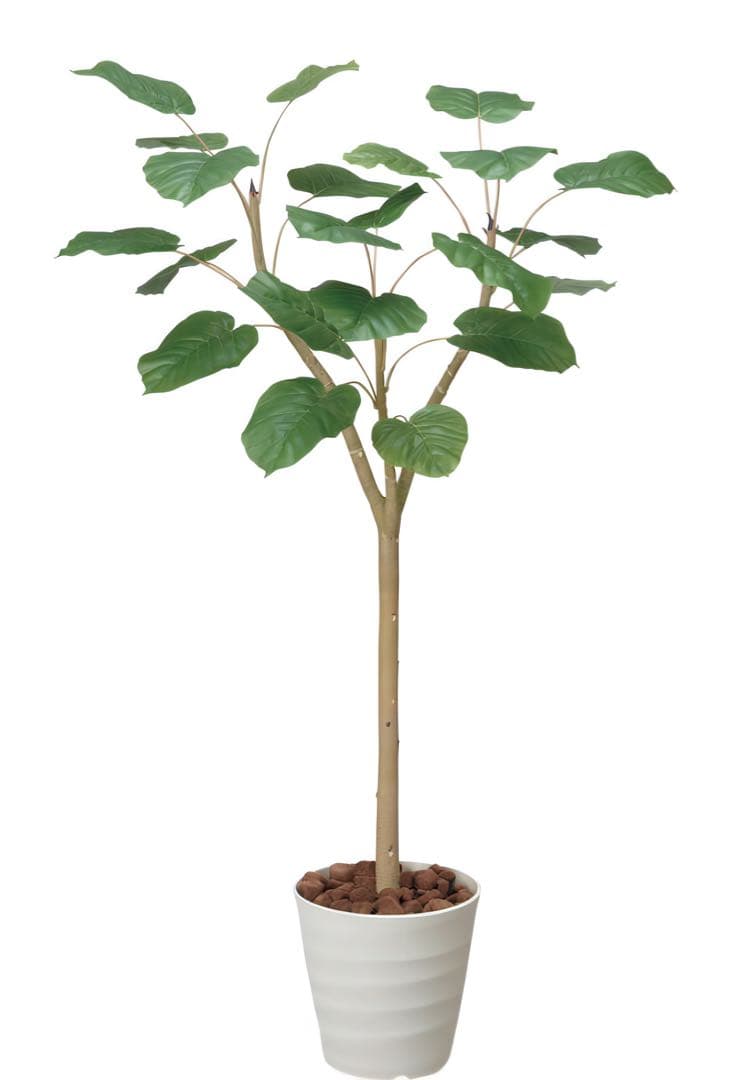 光触媒　人工観葉植物　ウォールグリーン　フェイクグリーン　ウンベラータ1.8p