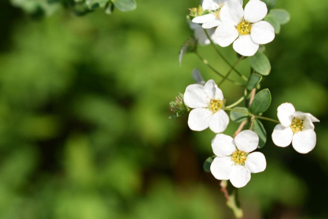 Nikon D3400 一眼レフ 美品