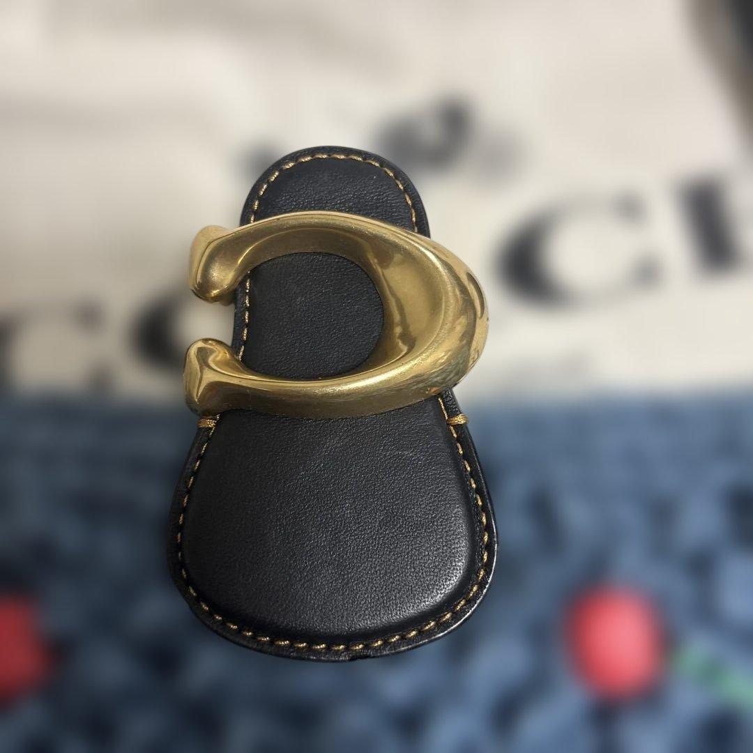 COACH チェリー柄ストロー素材ハンドバッグ