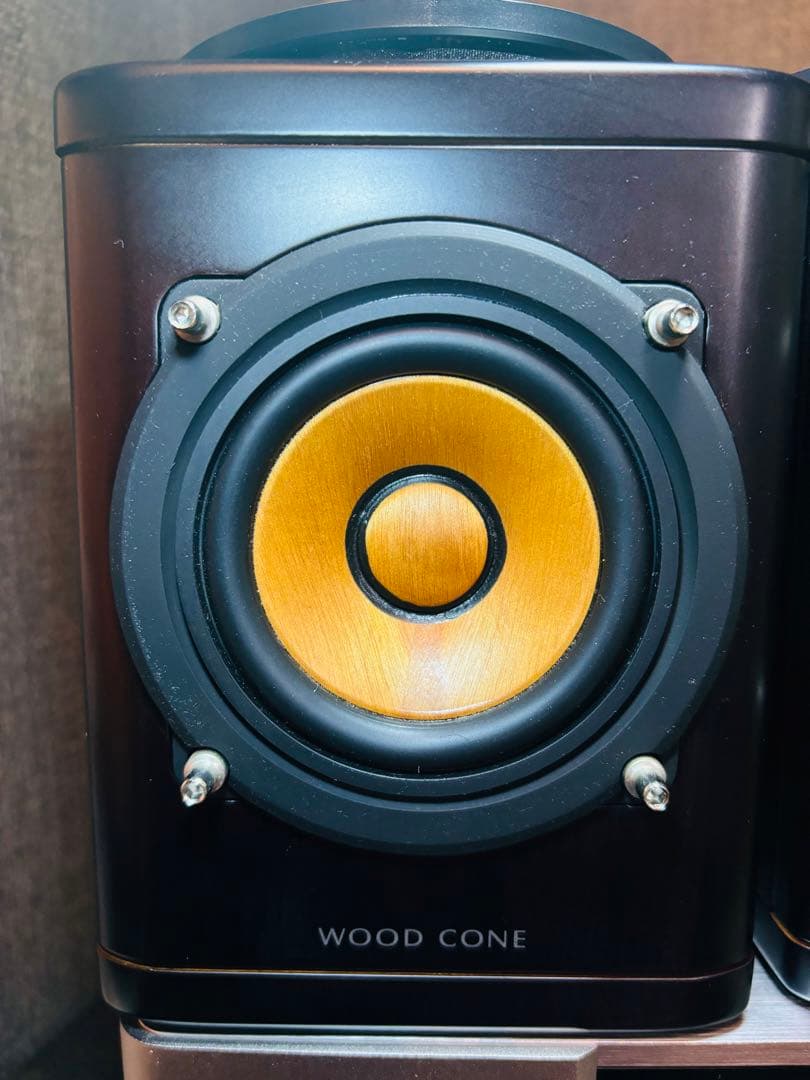 Victor DVDシステム EX-S1000 SP-EXS1000