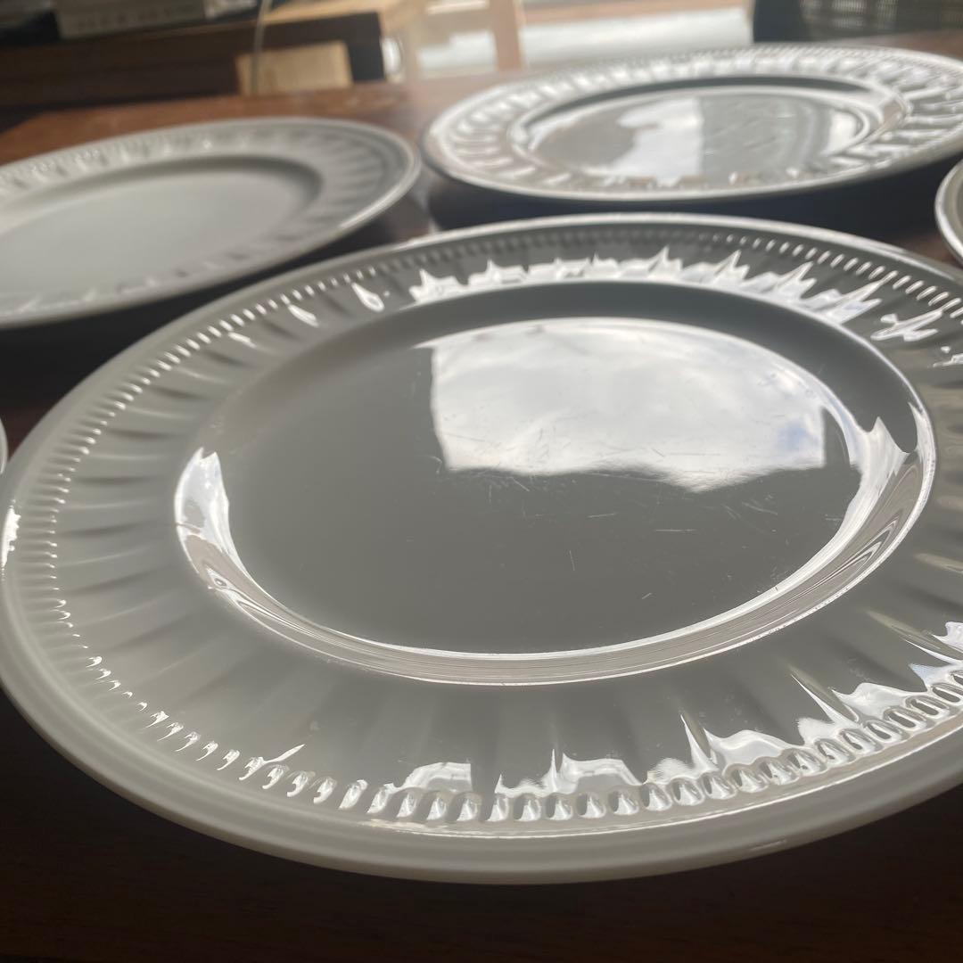  コロシアム27cm 5枚セット