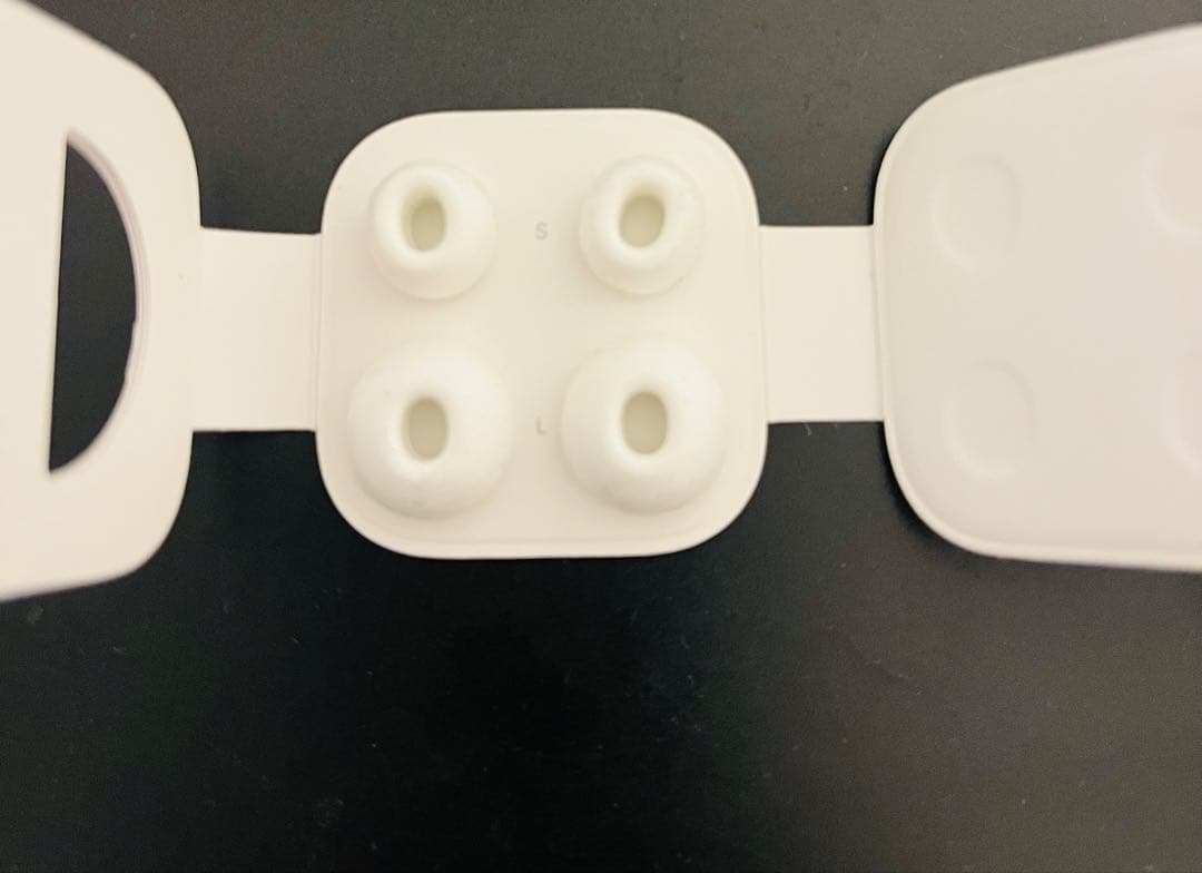 AirPods Pro 第一世代 本体 充電ケース付き