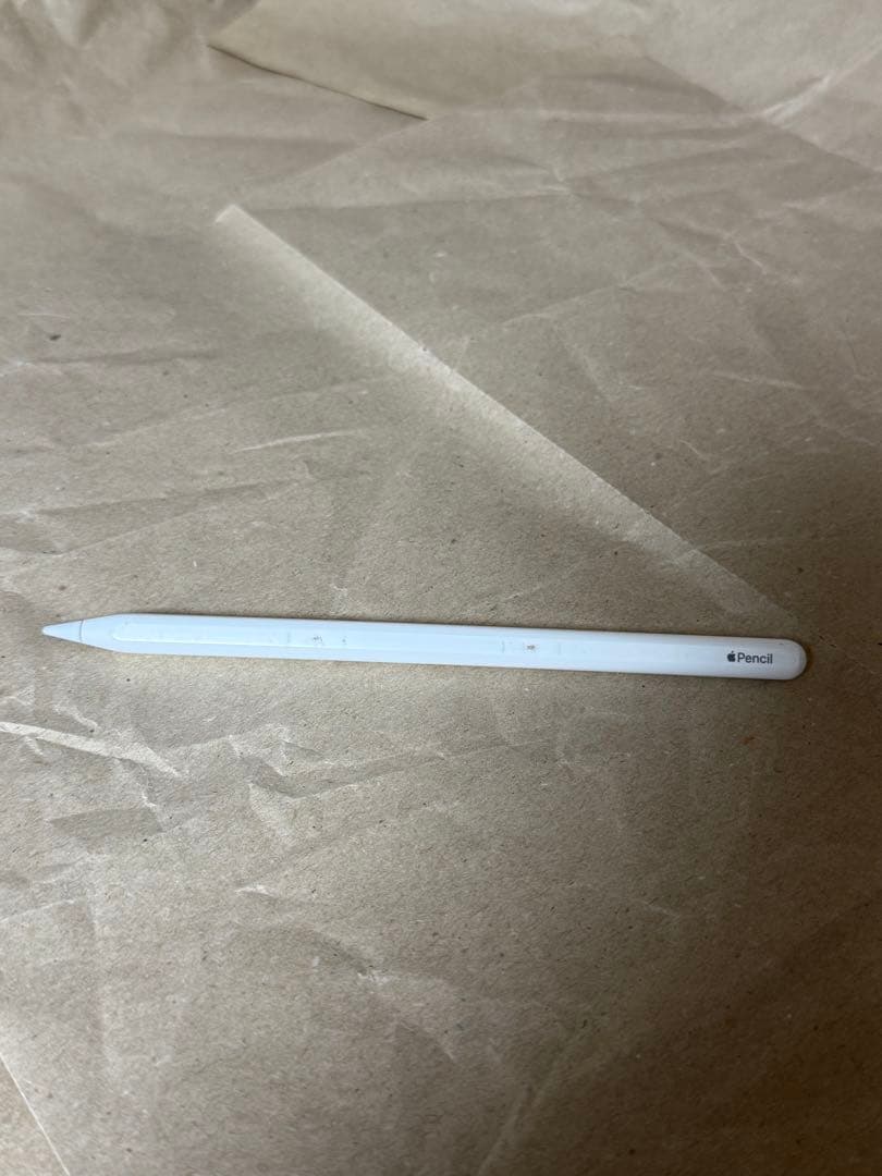 iPad Pro 12.9 inch 第6世代　512GB