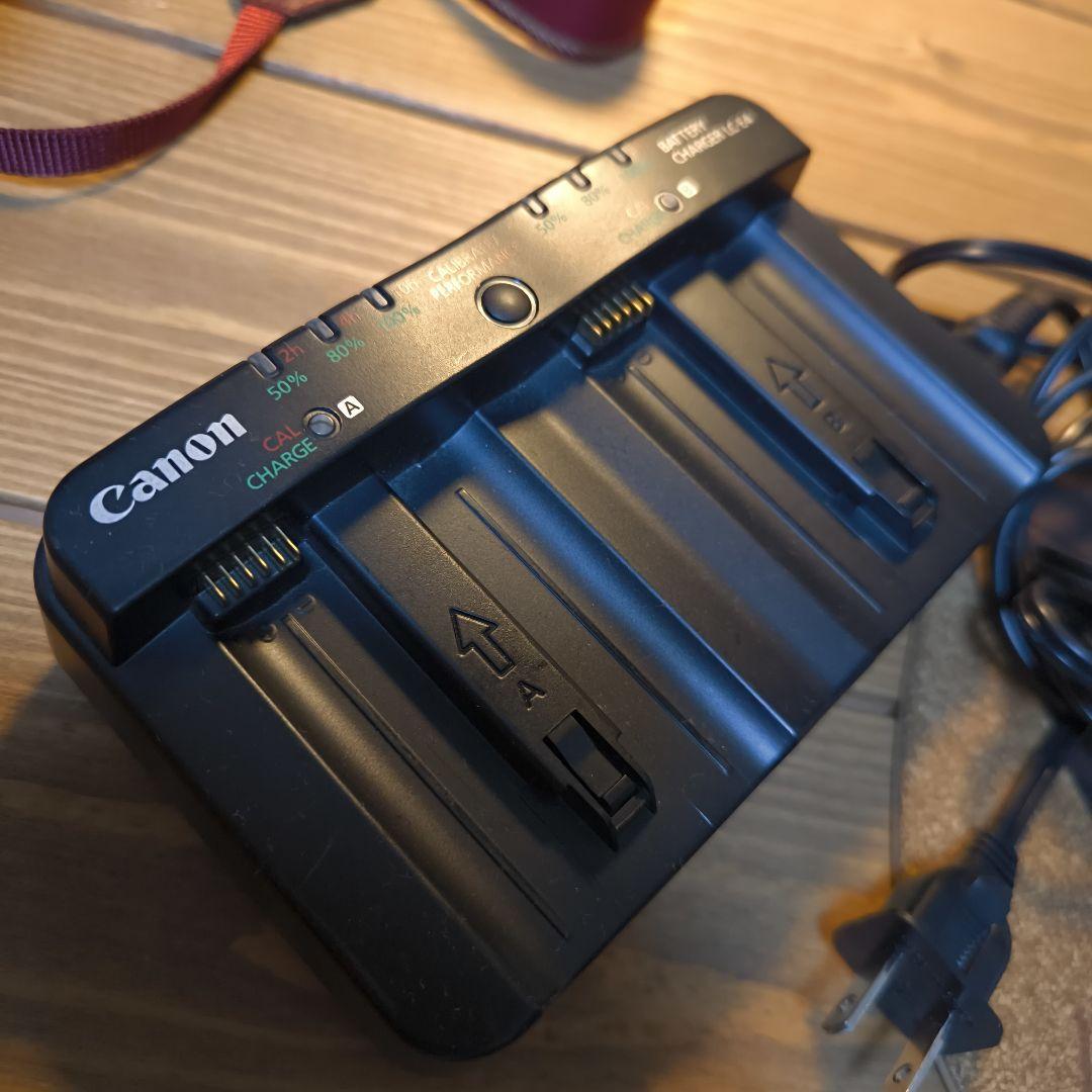 【美品】Canon EOS 1DX(初代)