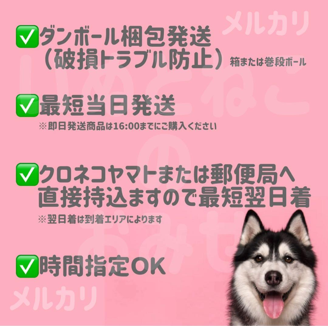 即日発送【15kg】セレクトバランス アダルトチキン 小粒ドッグフード