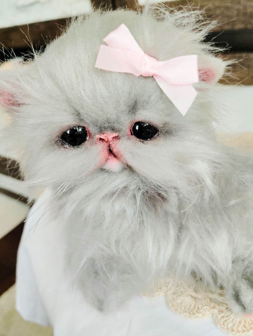 エキゾチックロングヘア♡子猫のリンちゃん♡アートドール♡ぬいぐるみ♡