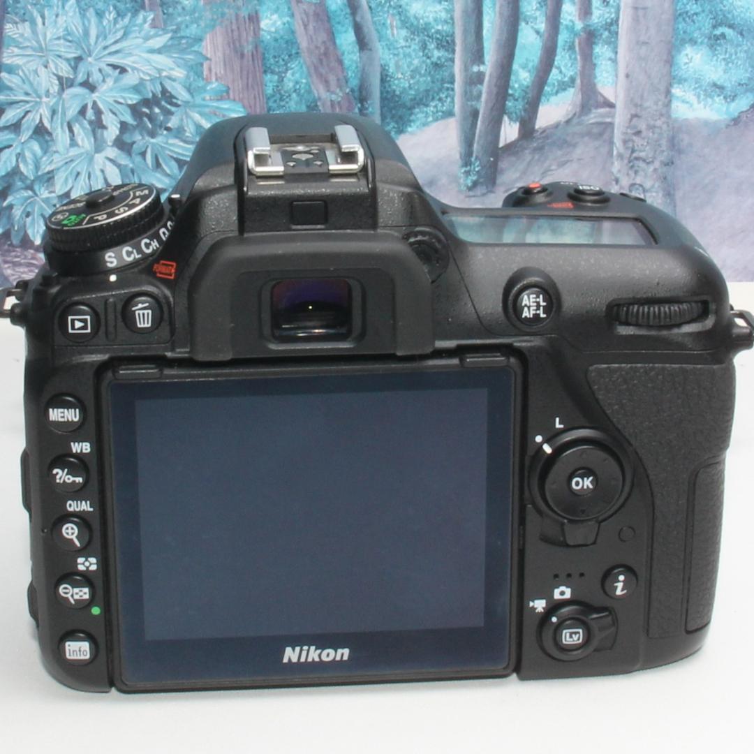 ❤️高性能の詰まった軽量ボディ❤️ニコン D7500 トリプルレンズ❤️