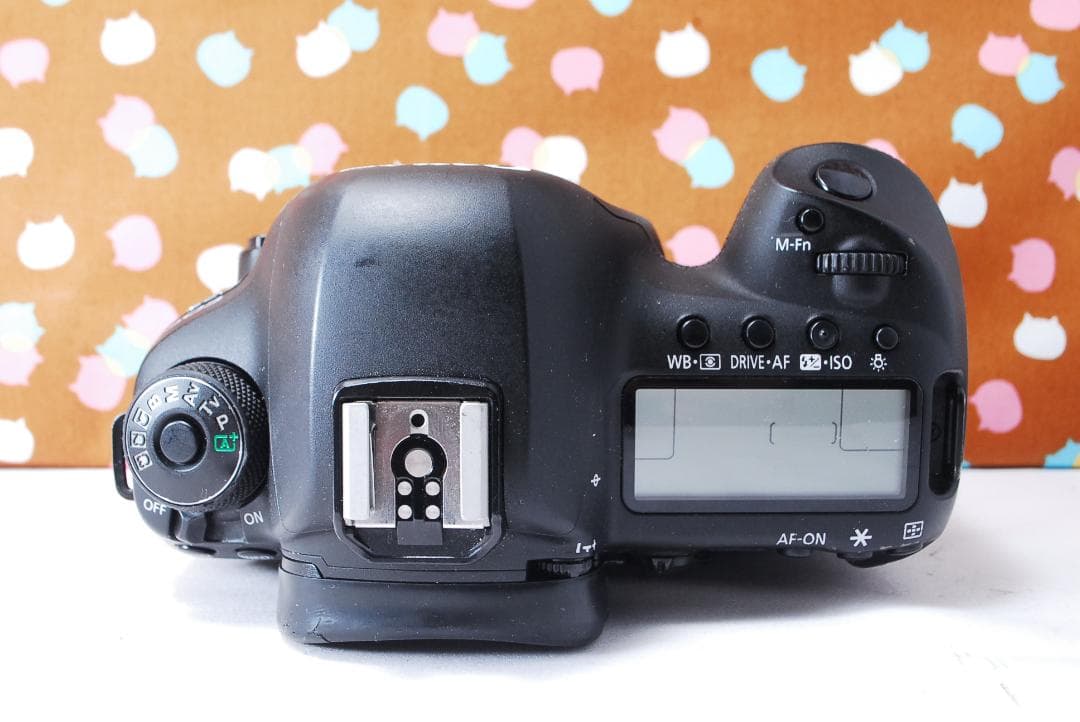 ✨ハイスペック機✨超高性能✨Canon 5D Mark Ⅳ