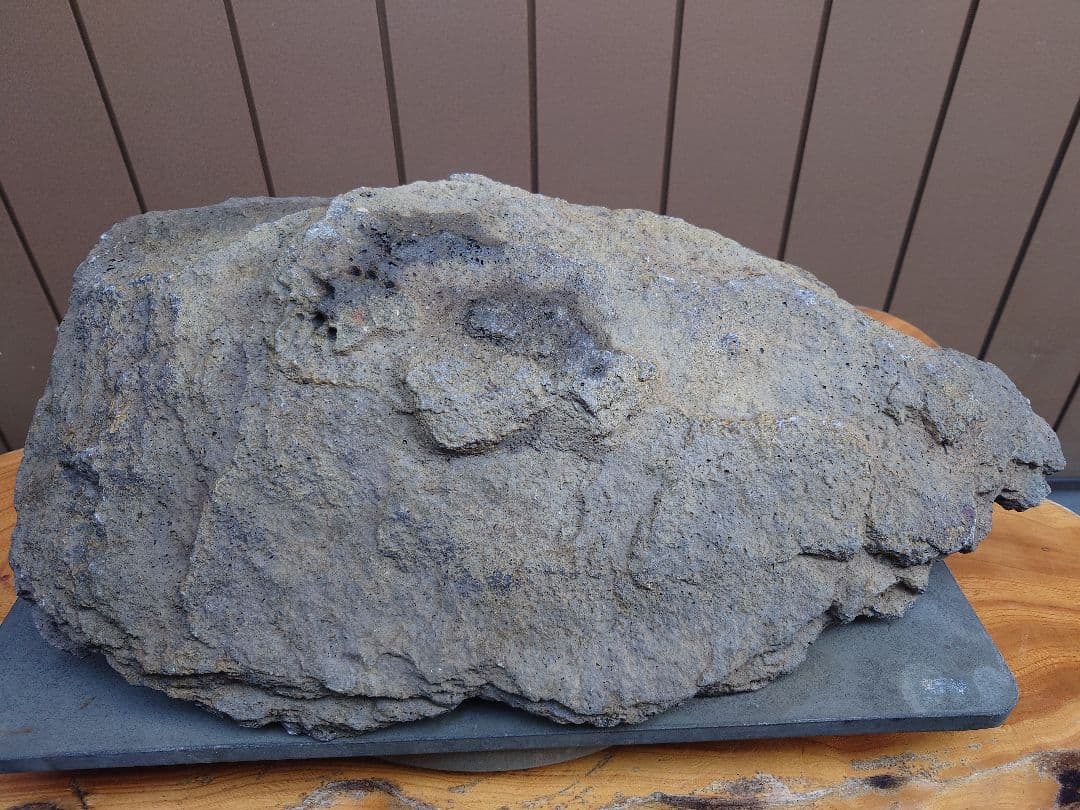 盆栽　鉢　鞍馬石？　平石　幅55.5cm