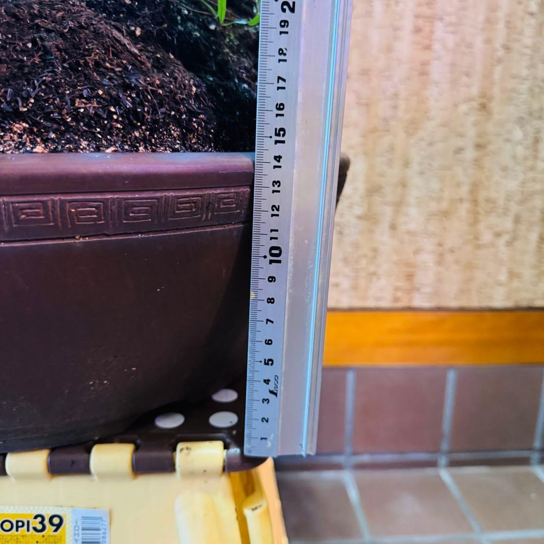 Porco　【特価】松盆栽大品　樹高 90cm 特大