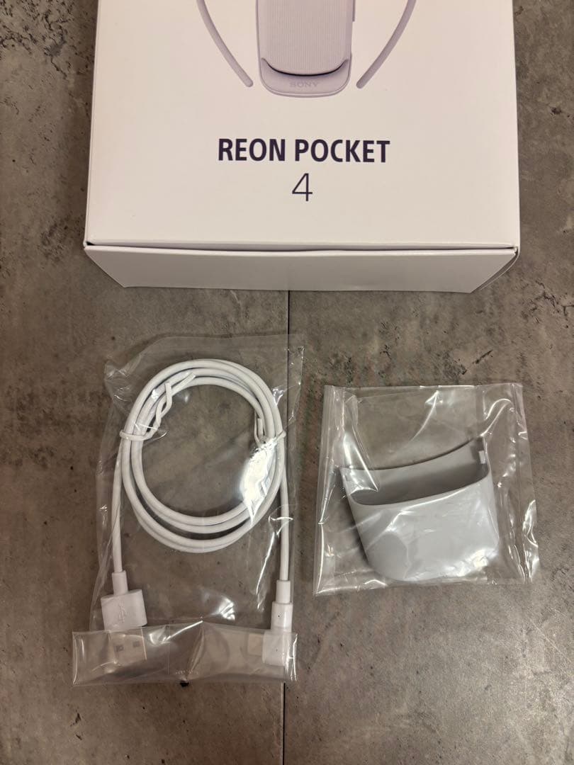 【美品】 SONY REON POCKET 4