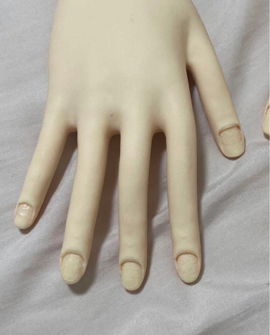 骨折なし 一度使用 JNEC 認定モデルハンド