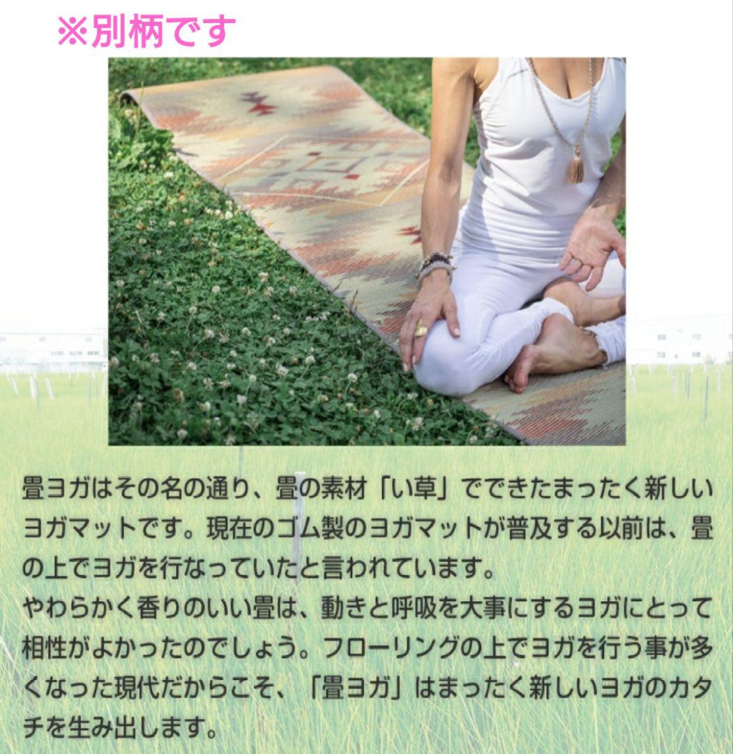 イケヒコ 畳 ヨガマット ソフトネイティブ柄 ネイビー アース ブルー系