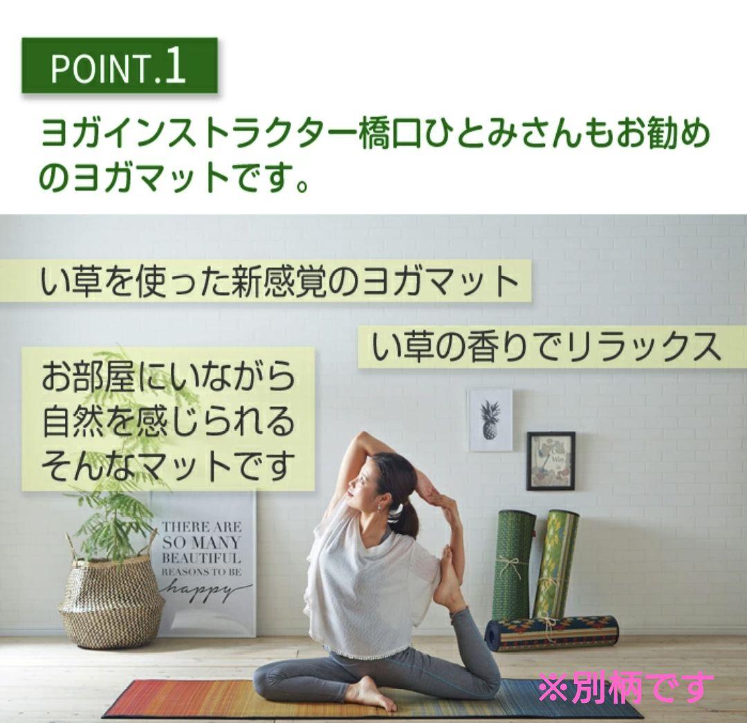 イケヒコ 畳 ヨガマット ソフトネイティブ柄 ネイビー アース ブルー系