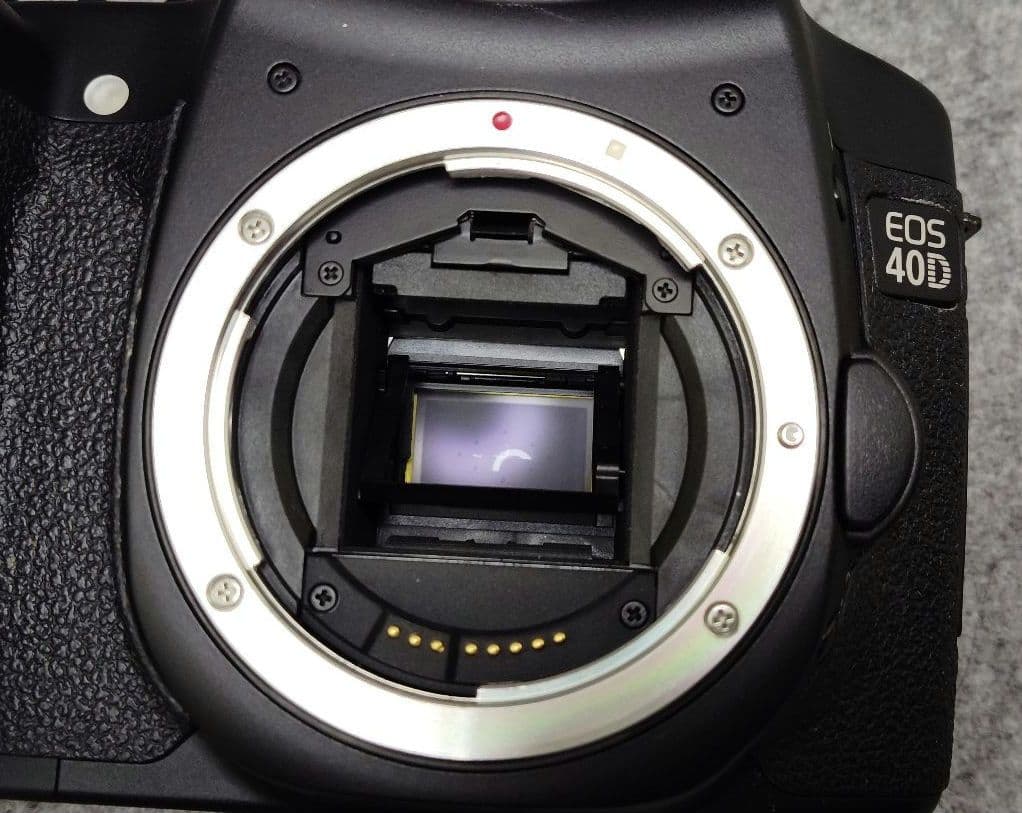 Canon EOS40D 標準ズームレンズ付き