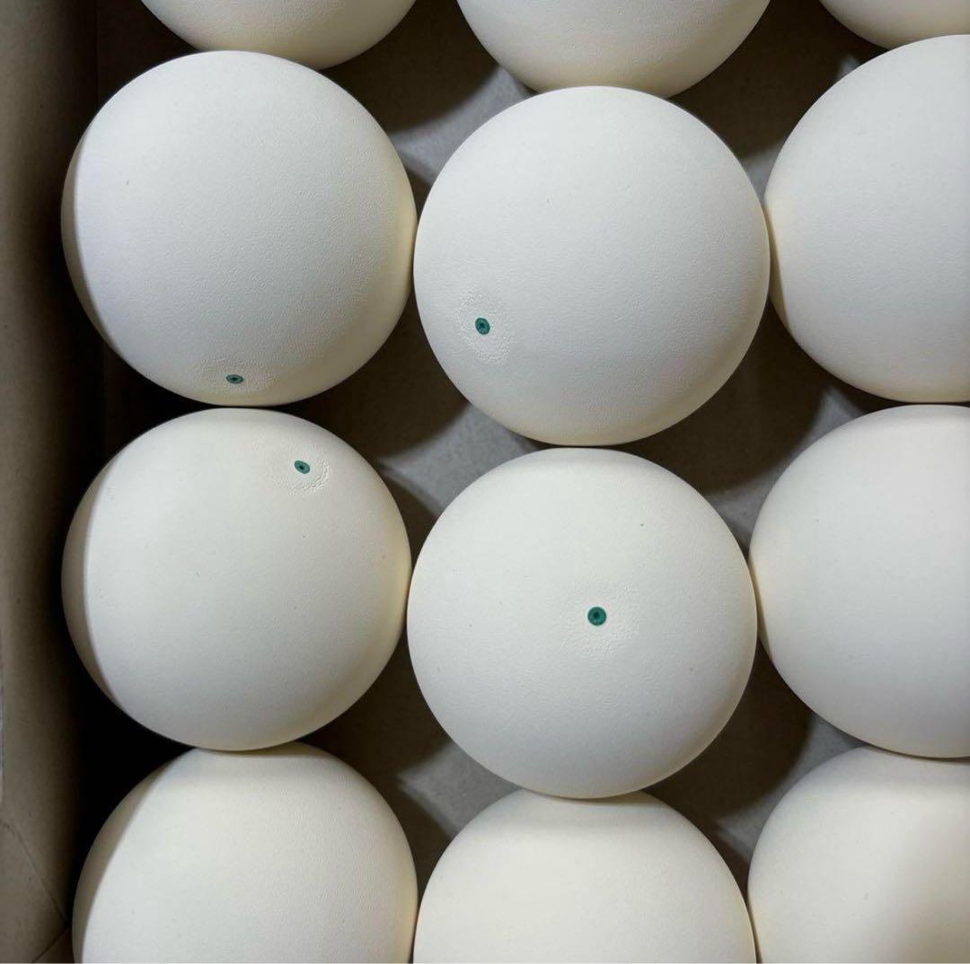 【早い者勝ち】ソフトテニス ボール 4ダース 48球 新品