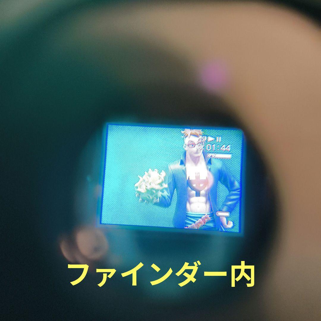 【動作確認済】SONY ソニー CCD-TRV92 video Hi8