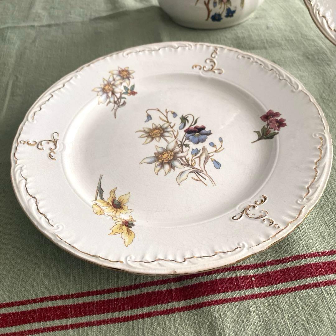 サルグミンヌRIGHI sarreguemines RIGHI セット