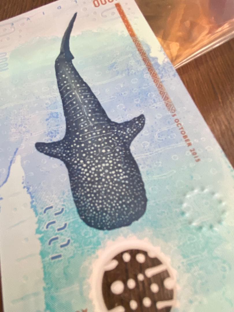 モルディブ紙幣1000ルフィヤ