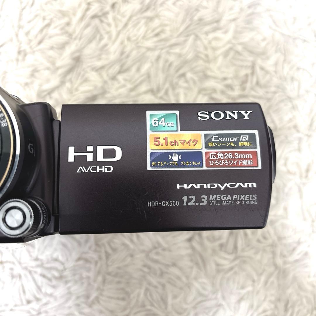 【極希少】SONY Handycam HDR-CX560v NP-FV100付き
