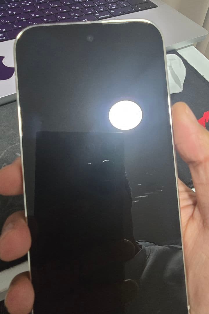 Google Pixel 9 Pro porcelain 白